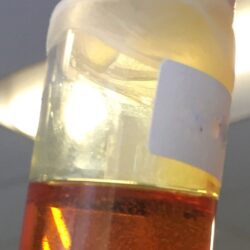 FSHE-NDT-No-Detect-THC-greater-than-85-CBD